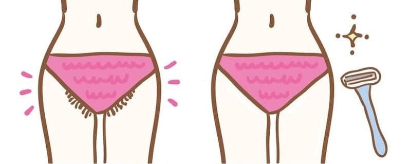 Does Pubic Hair Grow Back After Menopause